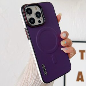 Luxury Premium Business Leather  Magsafe Wireless Charging Case Cover For iPhone Series